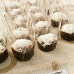Mousse Fit de Coco com Chia